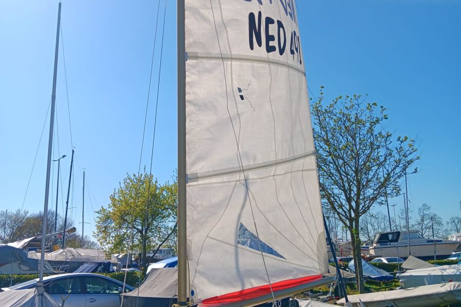 Solo 491-1.jpg